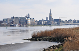 Flusskreuzfahrt Schelde